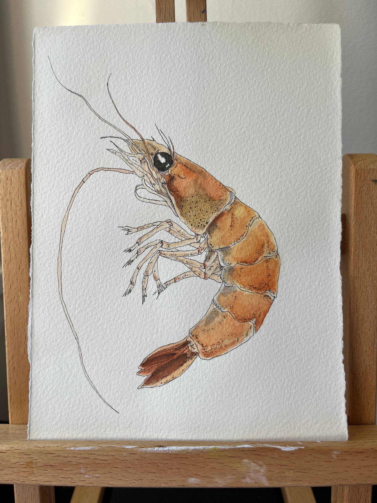 Prawn Original