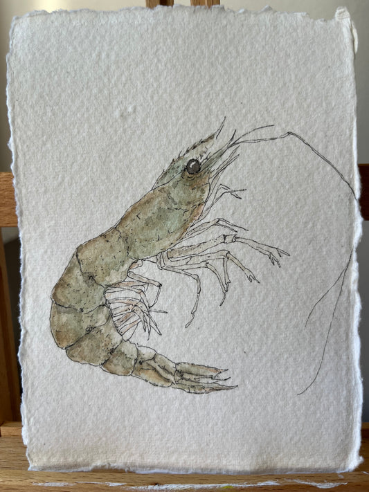 Live Prawn No.3 Original