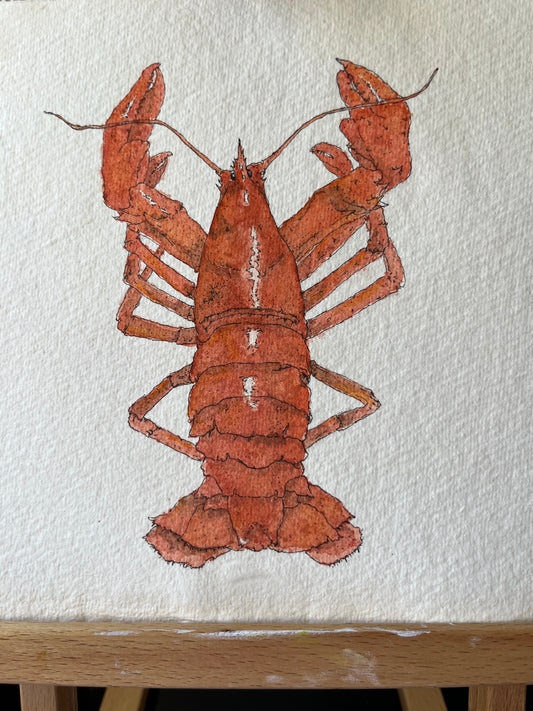 Lobster Original