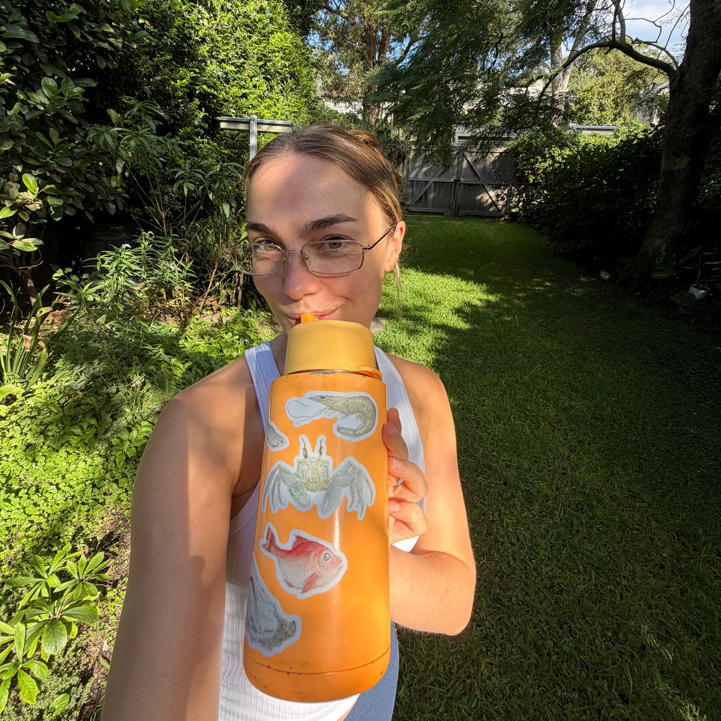 Fish Sticker Pack