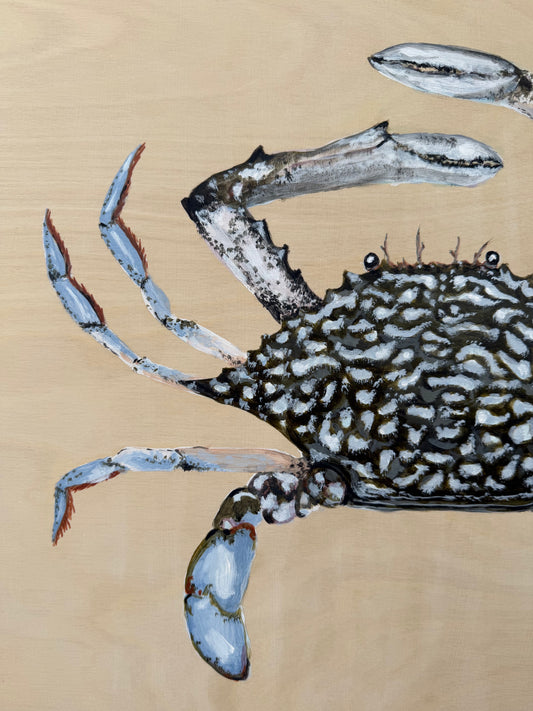 Australian Blue Swimmer Crab