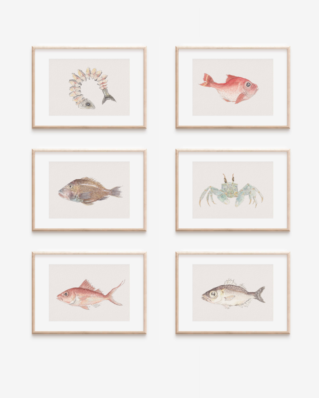 Fish Are Friends (And Food)