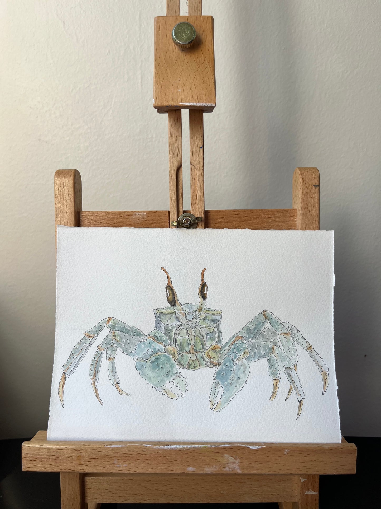 Ghost Crab Original