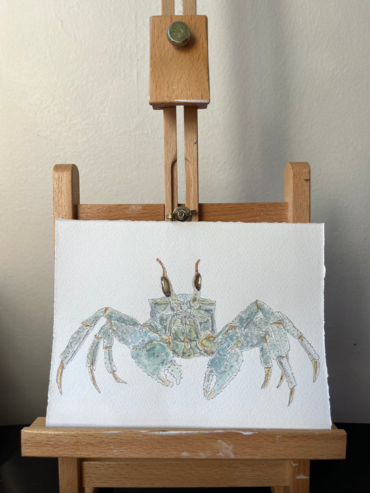 Ghost Crab Original