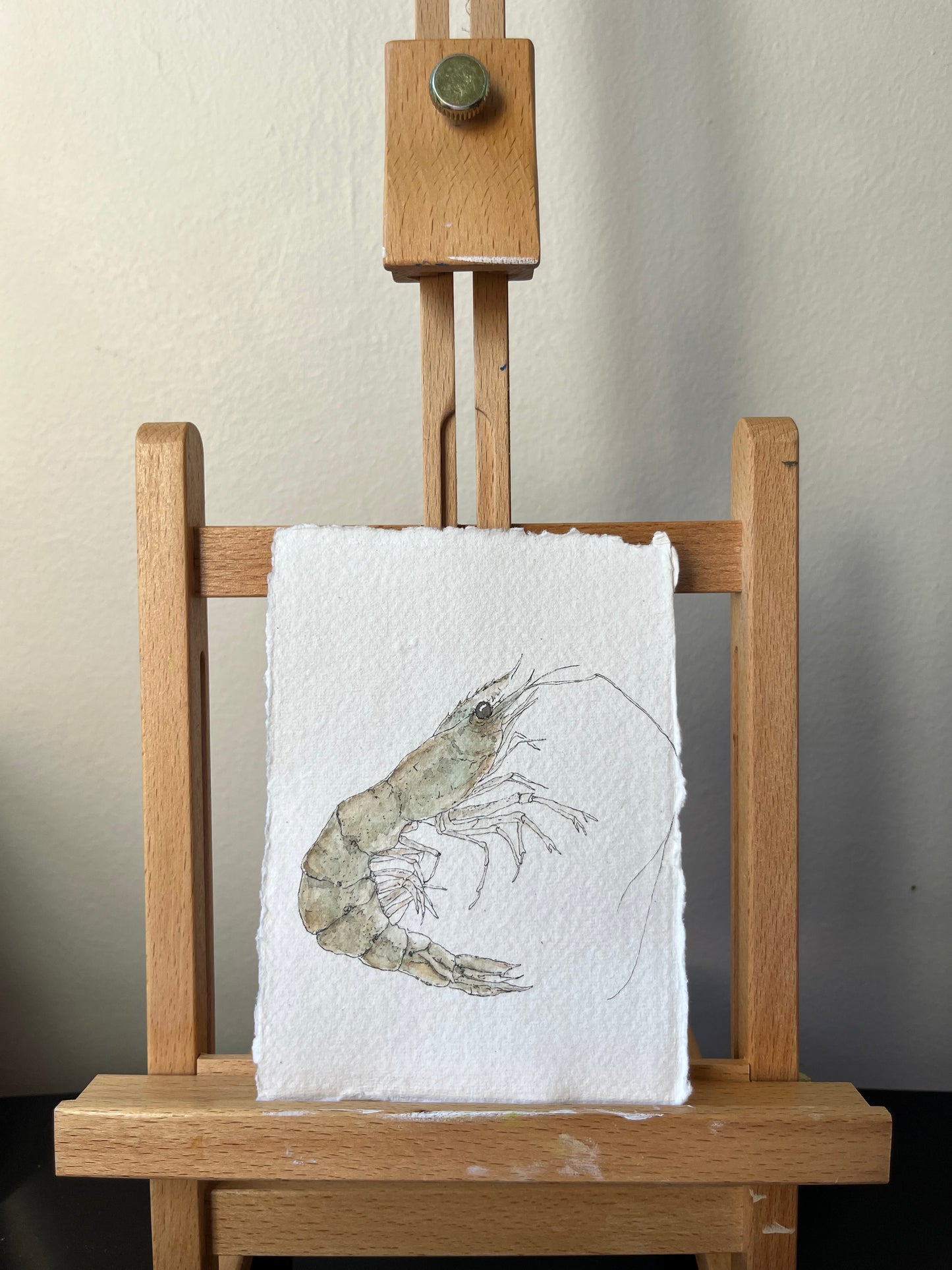 Live Prawn No.3 Original