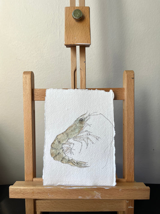 Live Prawn No.3 Original