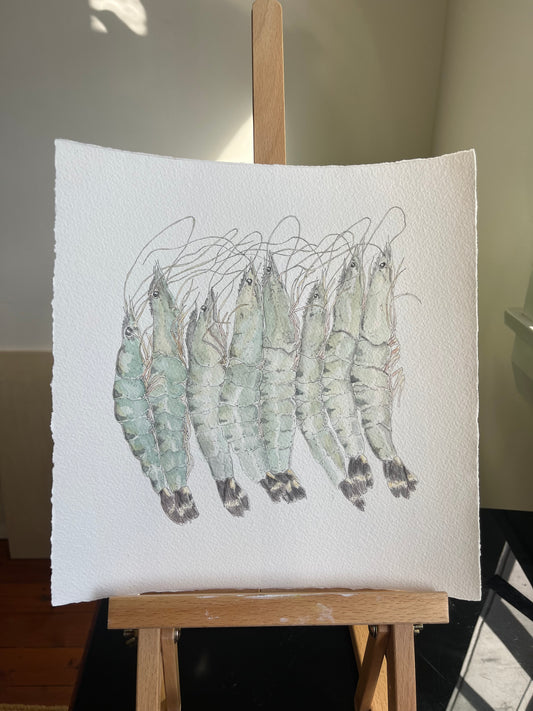 School of Prawns
