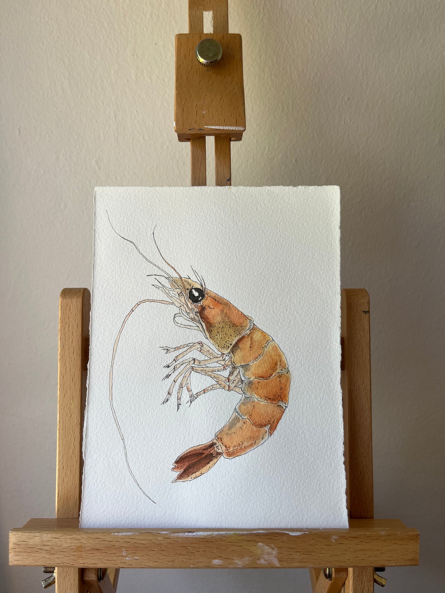 Prawn Original