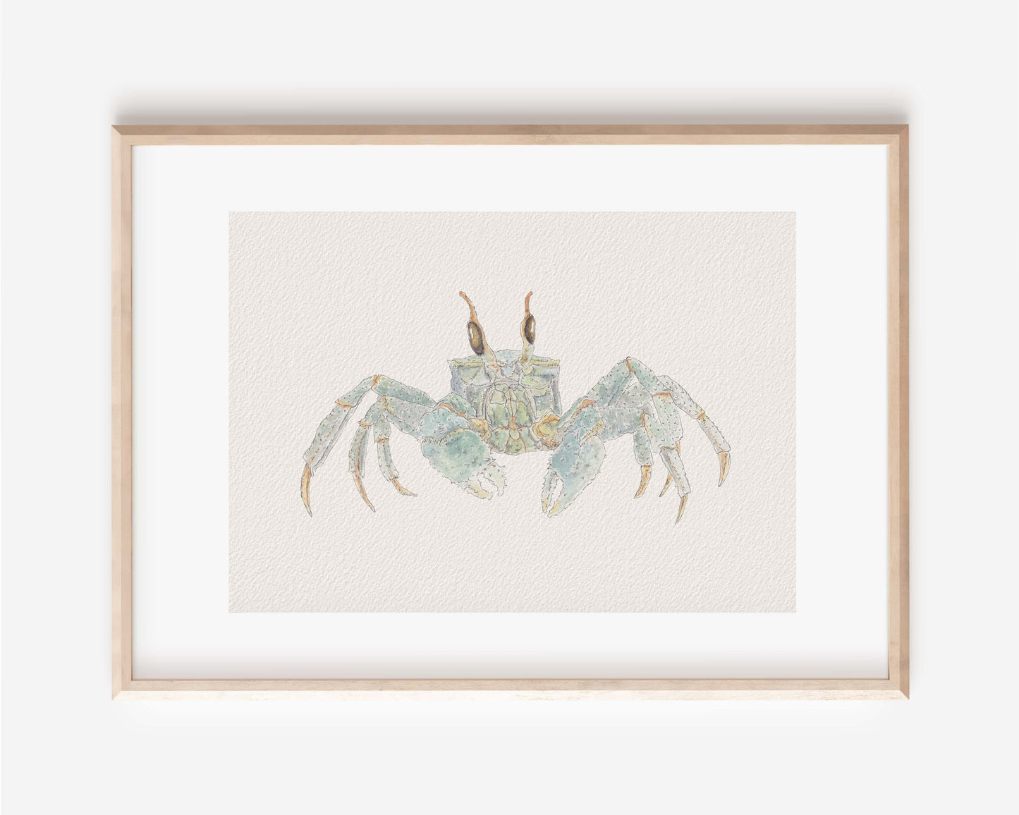 Ghost Crab