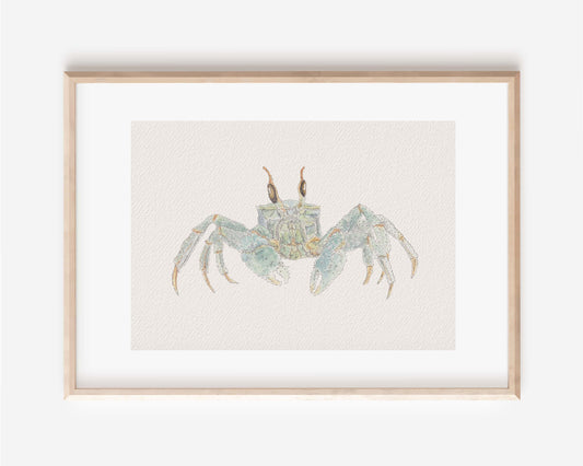 Ghost Crab