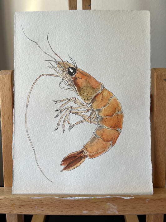 Prawn Original