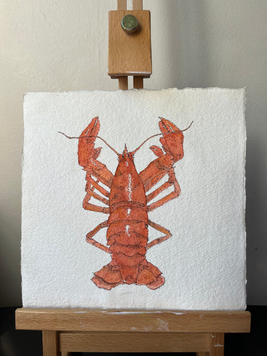 Lobster Original