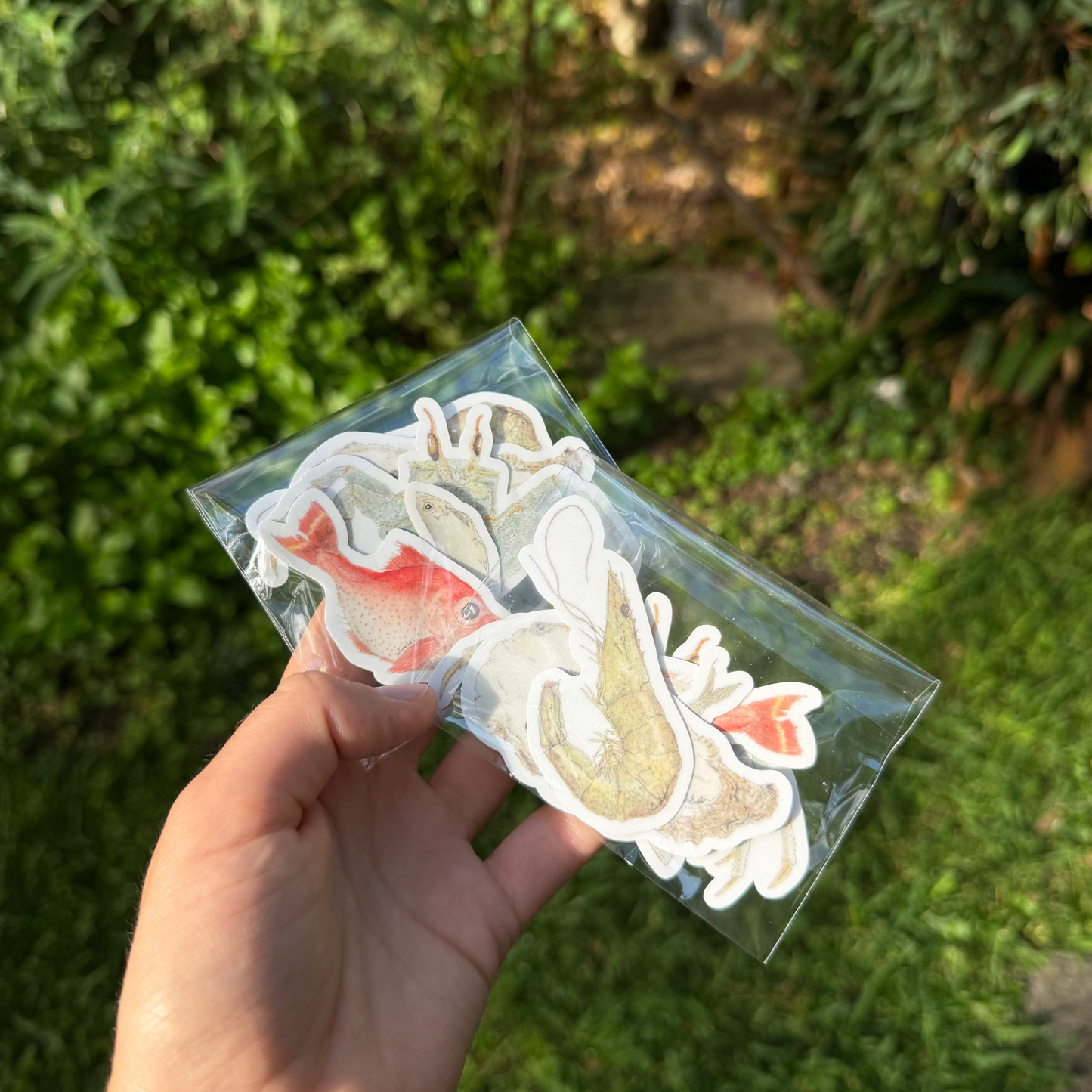 Fish Sticker Pack