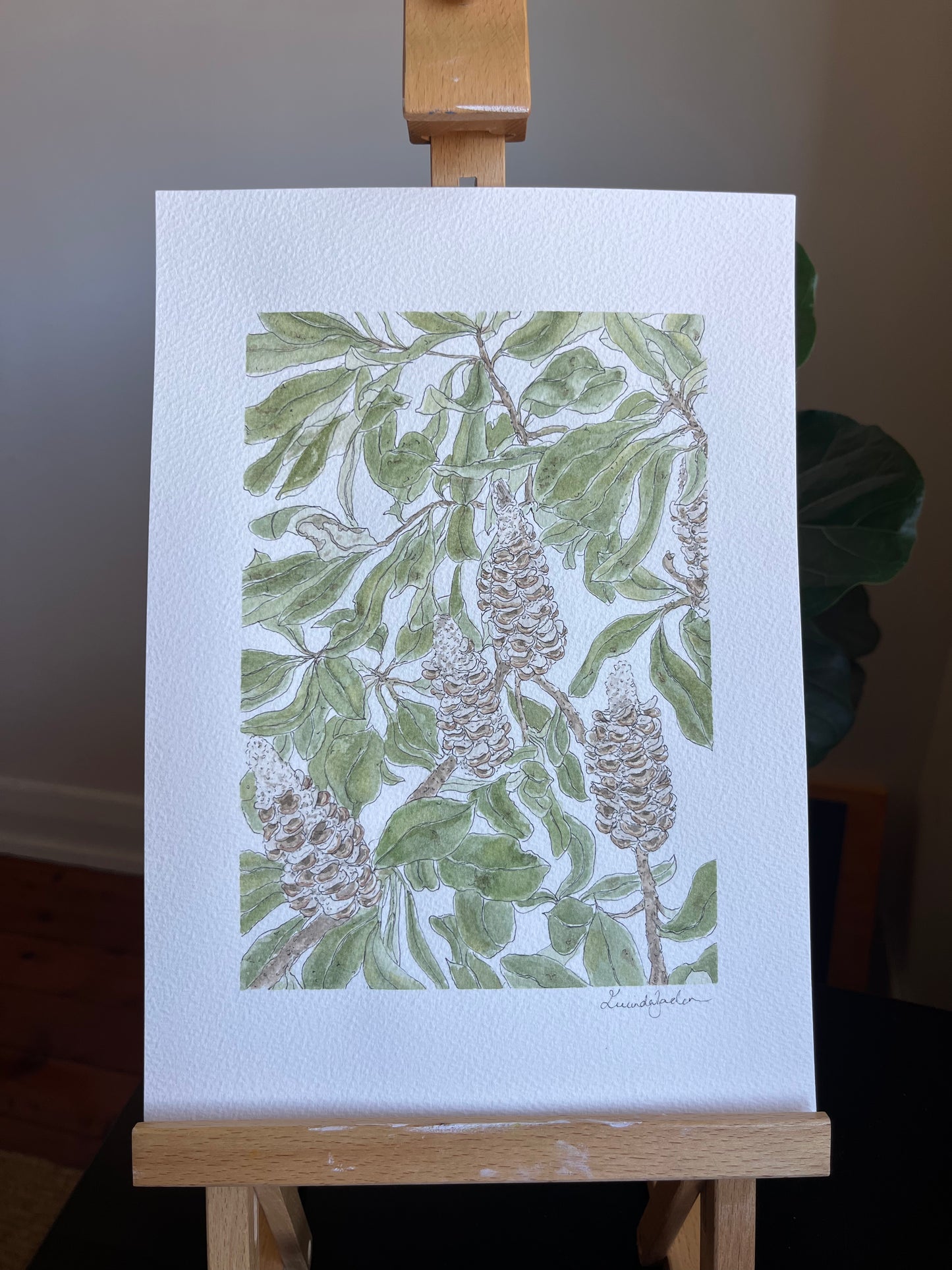 Banksia | Original Artwork