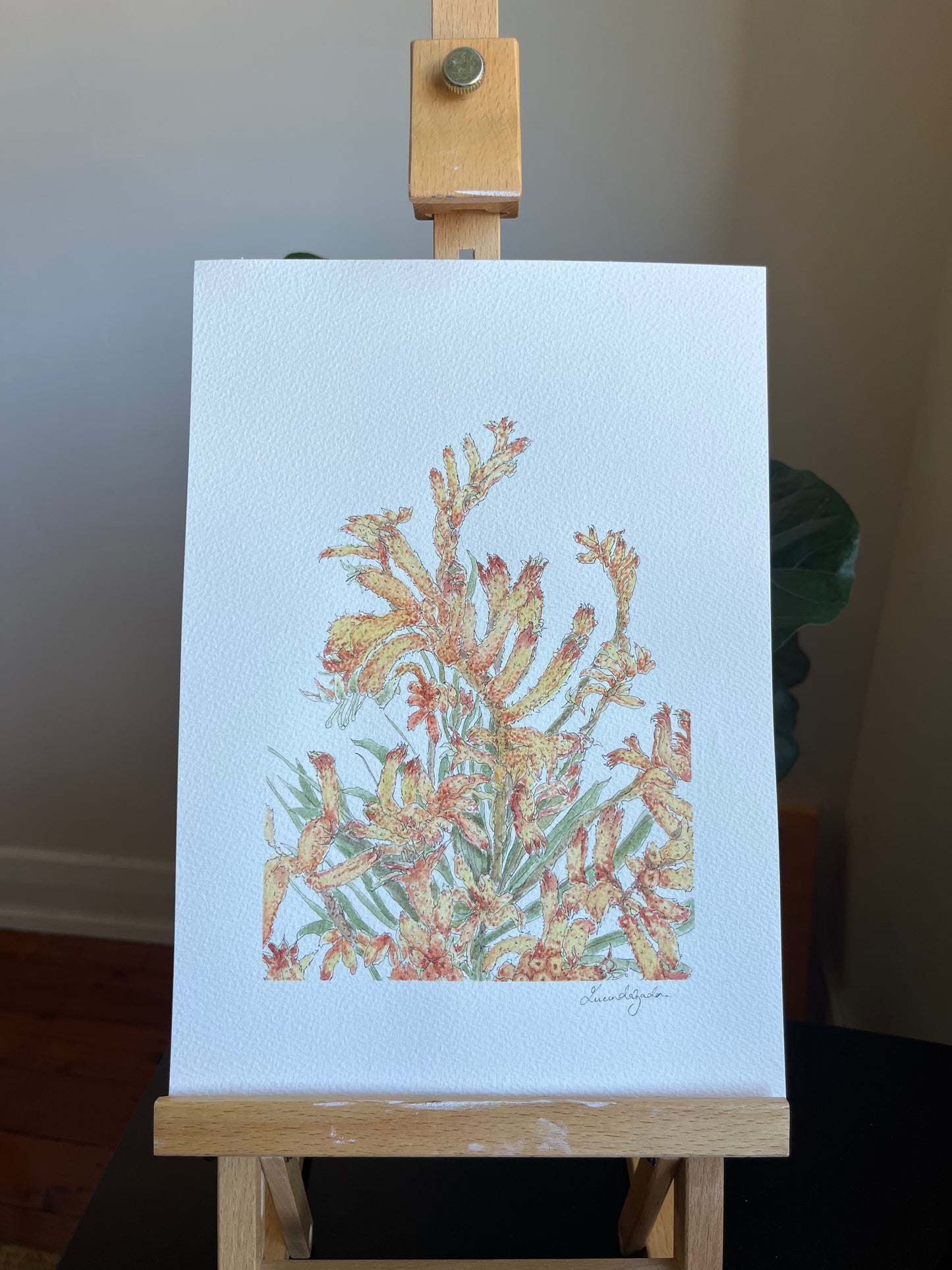 Kangaroo Paw | Original Watercolour