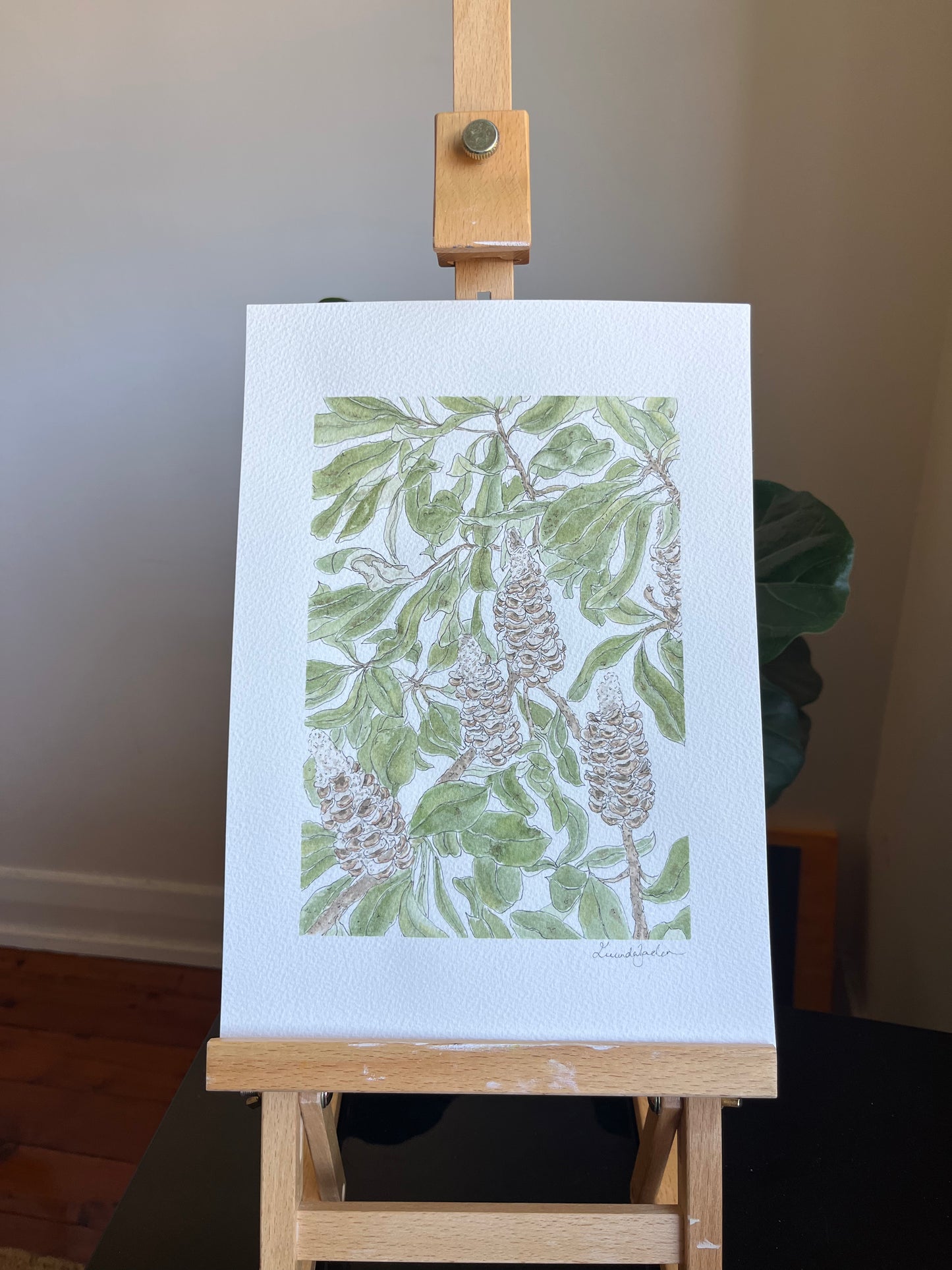 Banksia | Original Artwork