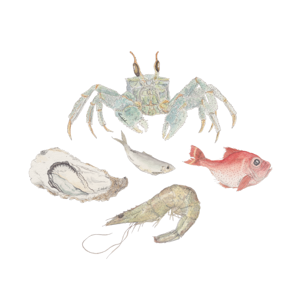 Fish Sticker Pack