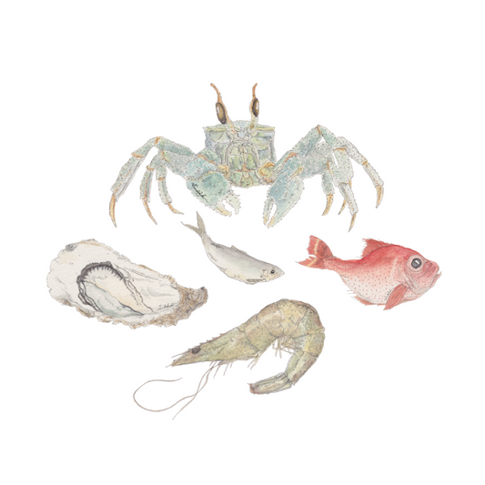 Fish Sticker Pack