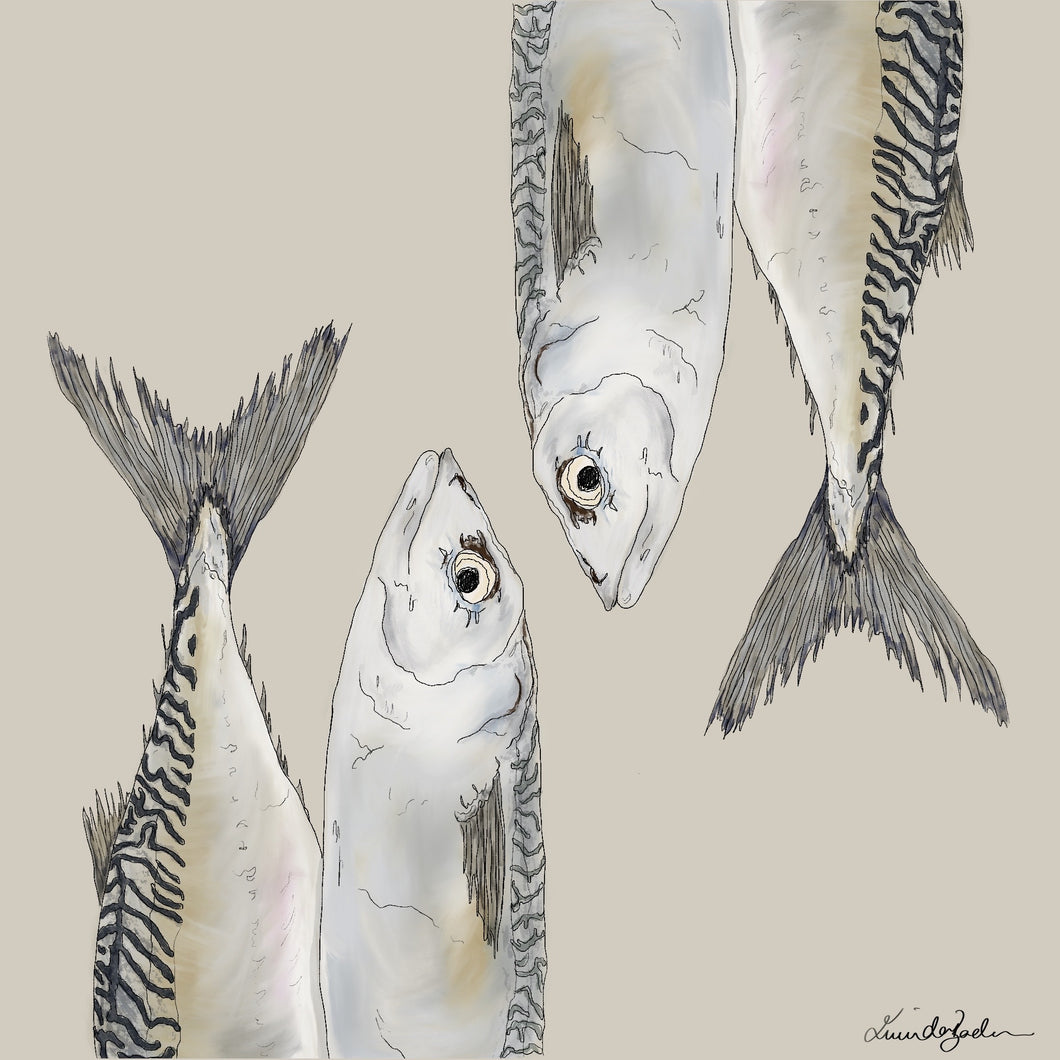 Sardines