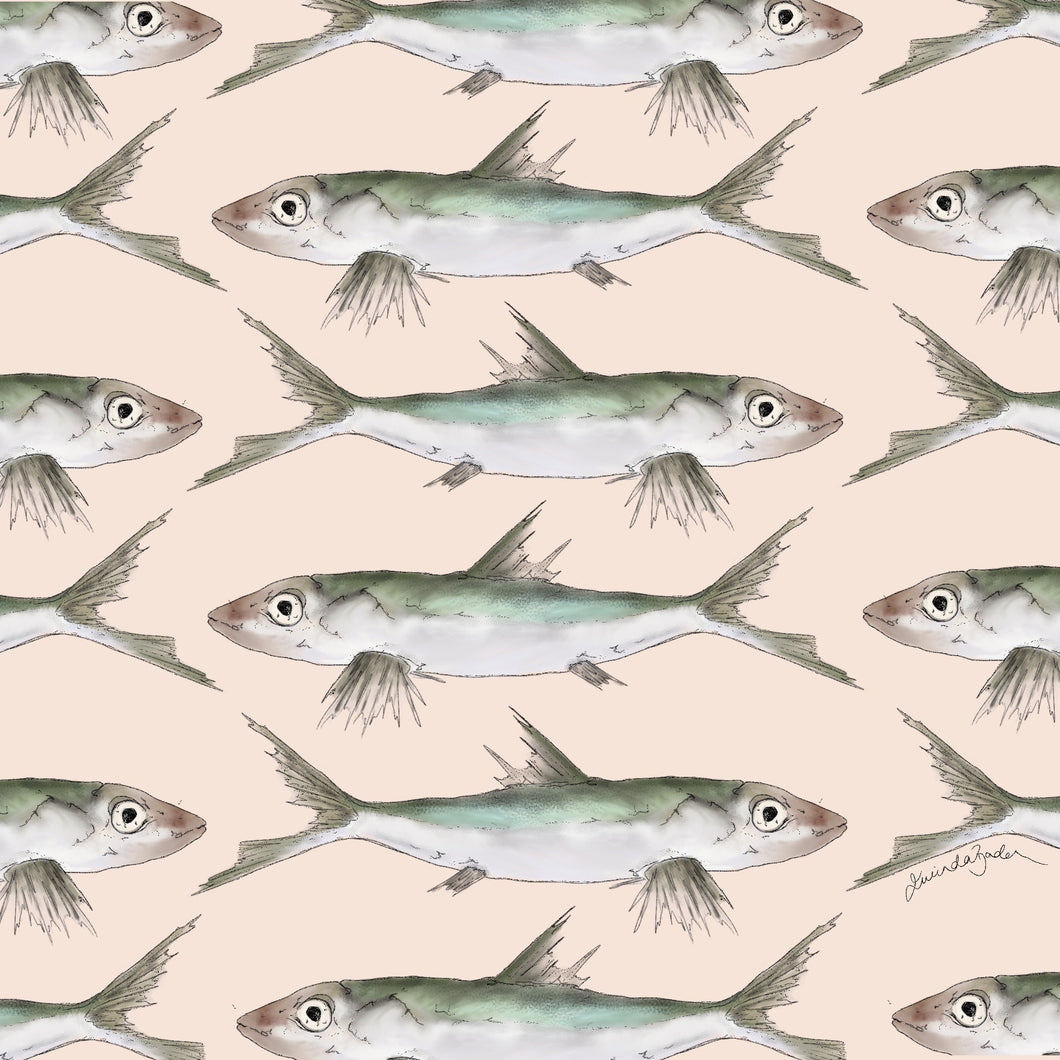 Sardines